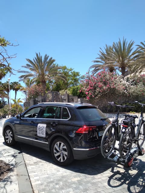 Tenerife: Electric Mountain Bike Rental with Hotel Delivery - Price and Value: Is $78 a Good Deal for One Day on an E-Bike?