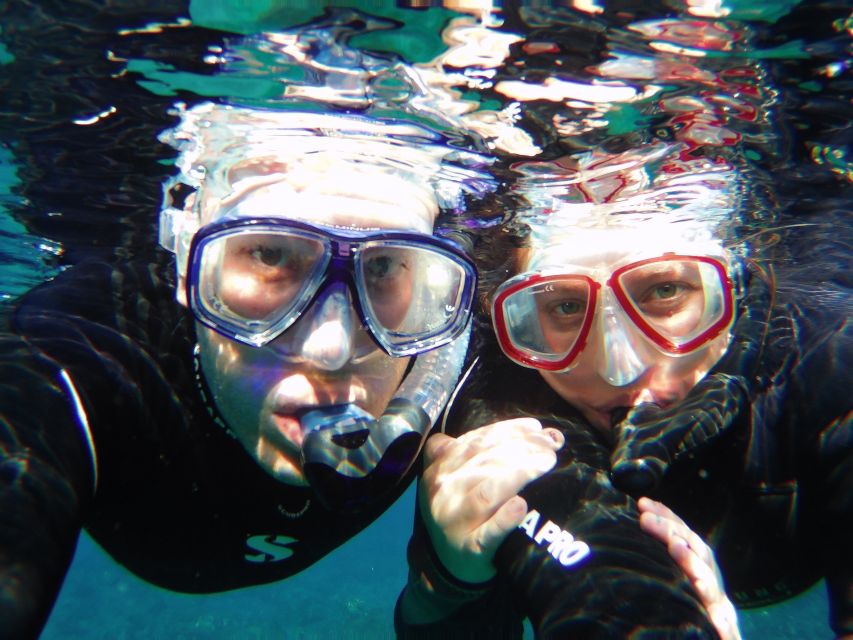 Tenerife Exclusive Snorkeling Trip with Marine Biologist - Price and value: what you really get for about $94