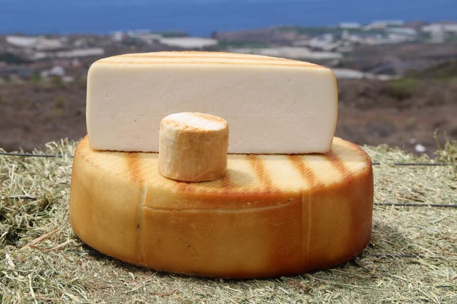 Tenerife - Farm Tour with Cheese Tasting - Key Things I’d Plan Around