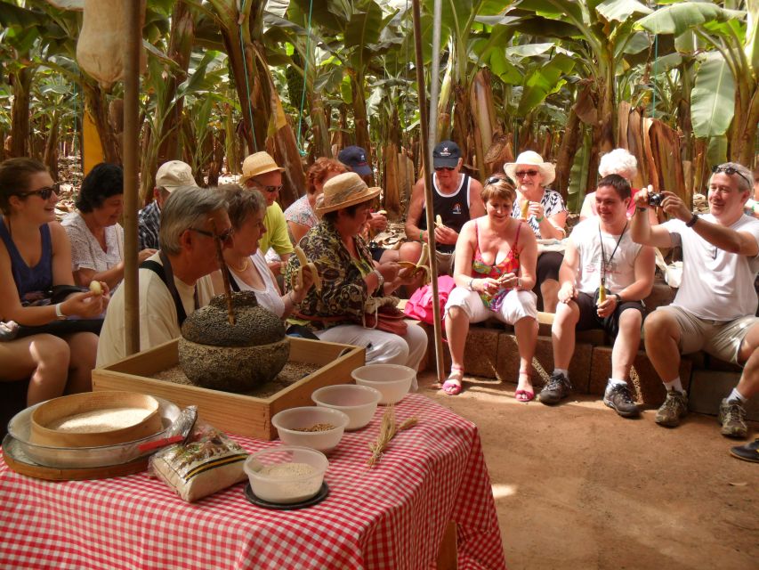 Tenerife: Finca Las Margaritas Banana Plantation Experience - Practical tips before you go (so it feels easy)
