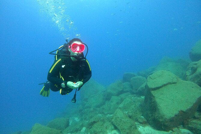 Tenerife First Time Scuba Dive – Turtle Habitat, Small Groups - Puerto Colón in Tenerife, why it works for a first-timer