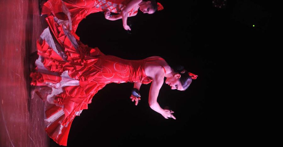 Tenerife: Flamenco Performance at Teatro Coliseo - VIP vs Standard: Drinks and What You Gain (and Might Not)