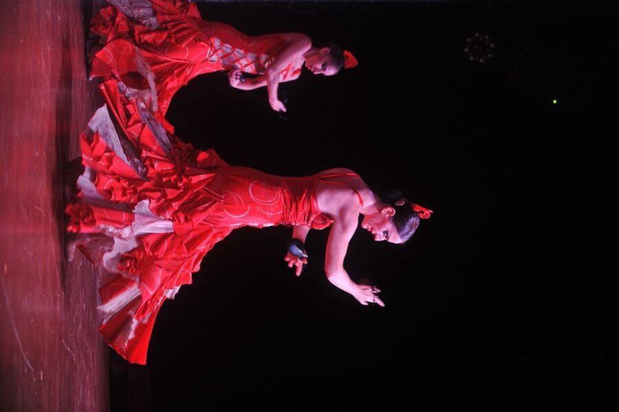 Tenerife: Flamenco Performance at Teatro Coliseo - Teatro Coliseo (Sala Coliseo): Check-In, Doors, and Timing That Actually Matters