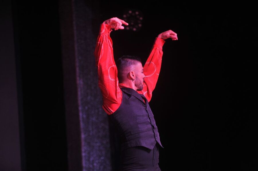 Tenerife: Flamenco Performance at Teatro Coliseo - Value for Money in Tenerife: Is This Worth $37?