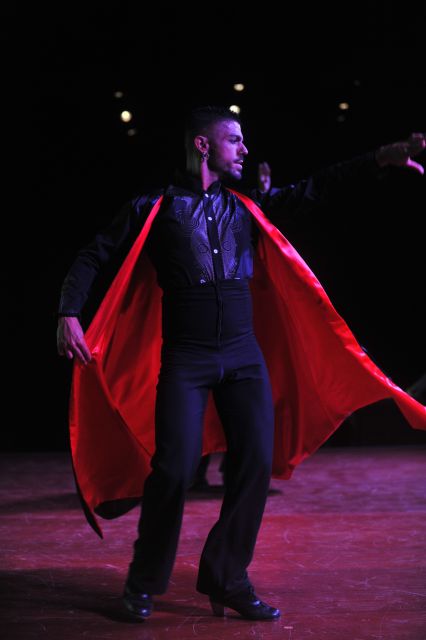 Tenerife: Flamenco Performance at Teatro Coliseo - Who This Flamenco Show Fits Best (and Who Might Not)