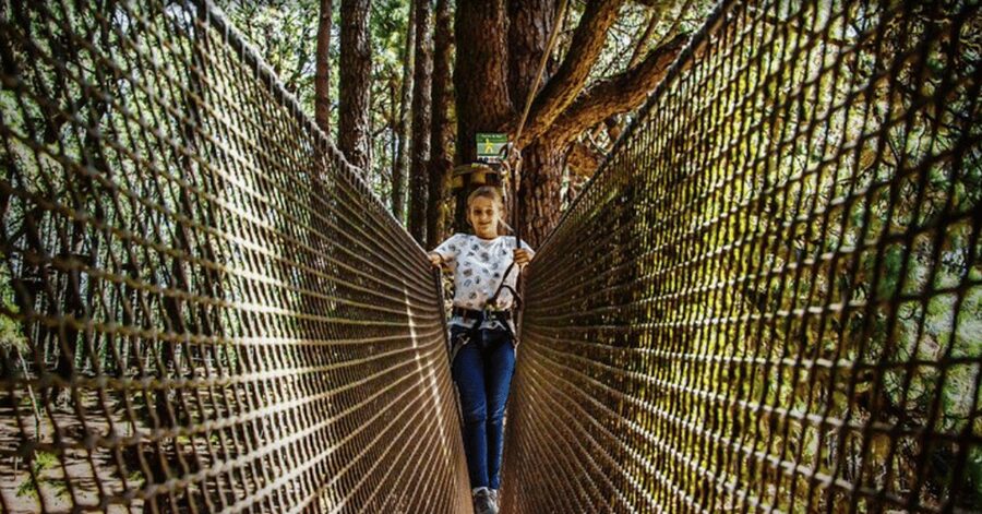 Tenerife: Forestal Park Tenerife Entry Ticket - What to bring, what to wear, and what the park bans