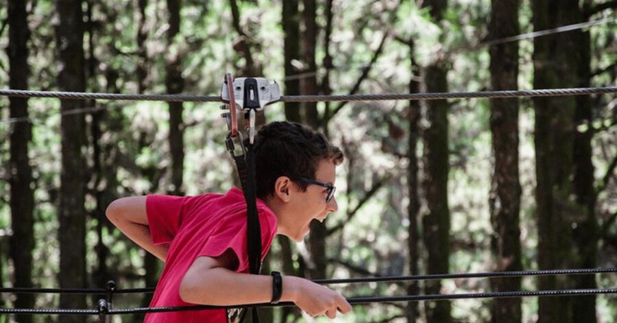 Tenerife: Forestal Park Tenerife Entry Ticket - Price value: is $31 per person worth it?