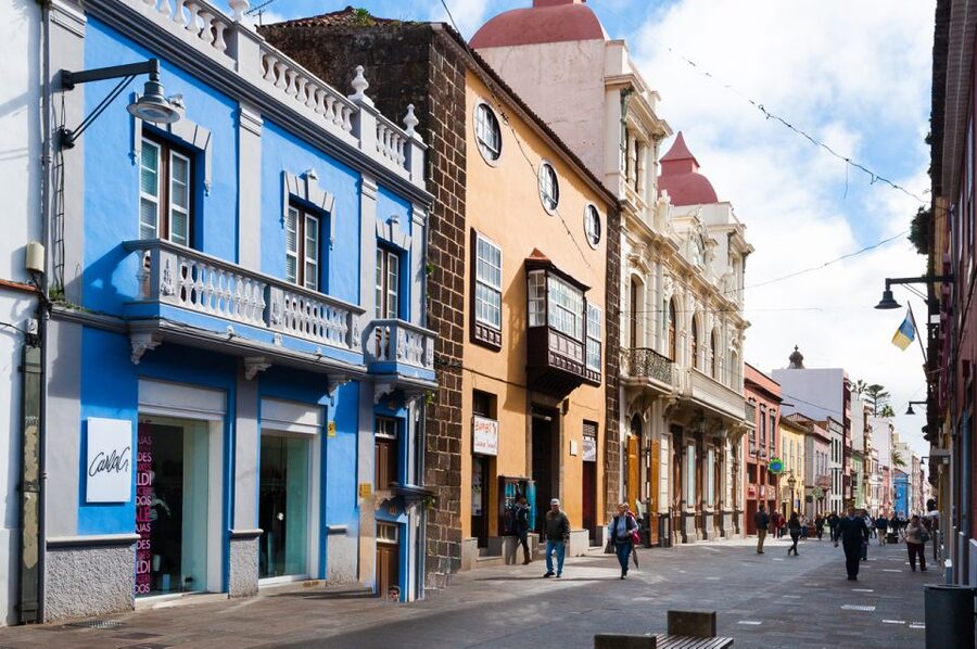Tenerife: Full-Day Gastronomy and Wine Tour - A day built for Tenerife food, wine, and easy sightseeing