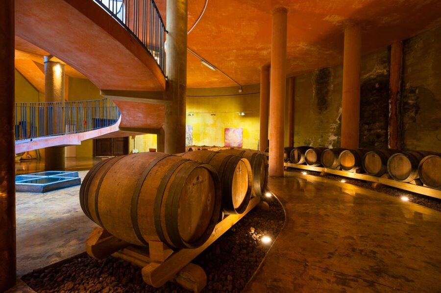 Tenerife: Full-Day Gastronomy and Wine Tour - Casa del Vino in Tenerife’s El Sauzal: cheese, wine, and a short museum feel
