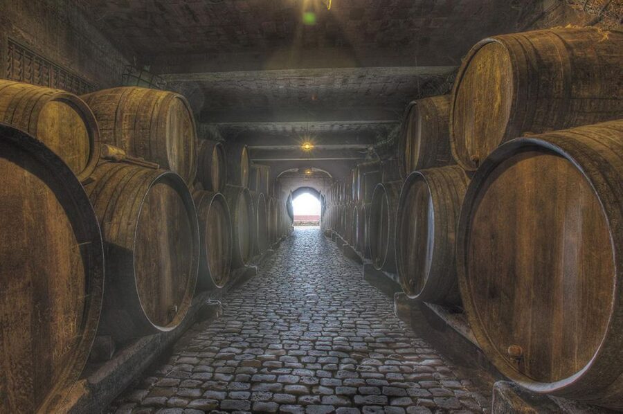 Tenerife: Full-Day Gastronomy and Wine Tour - Bodegas Monje: where the views make lunch feel like the main event