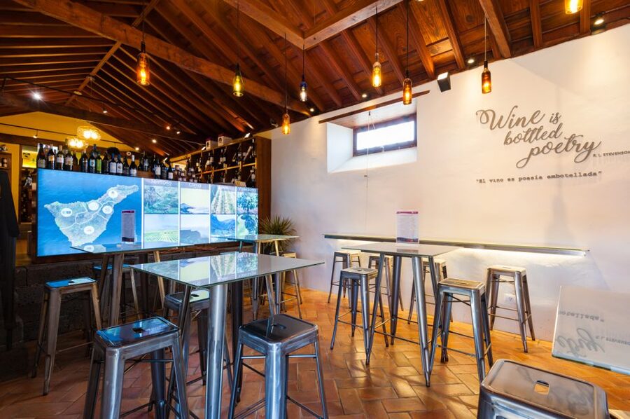 Tenerife: Full-Day Gastronomy and Wine Tour - How to enjoy the wine without turning the day into a blur