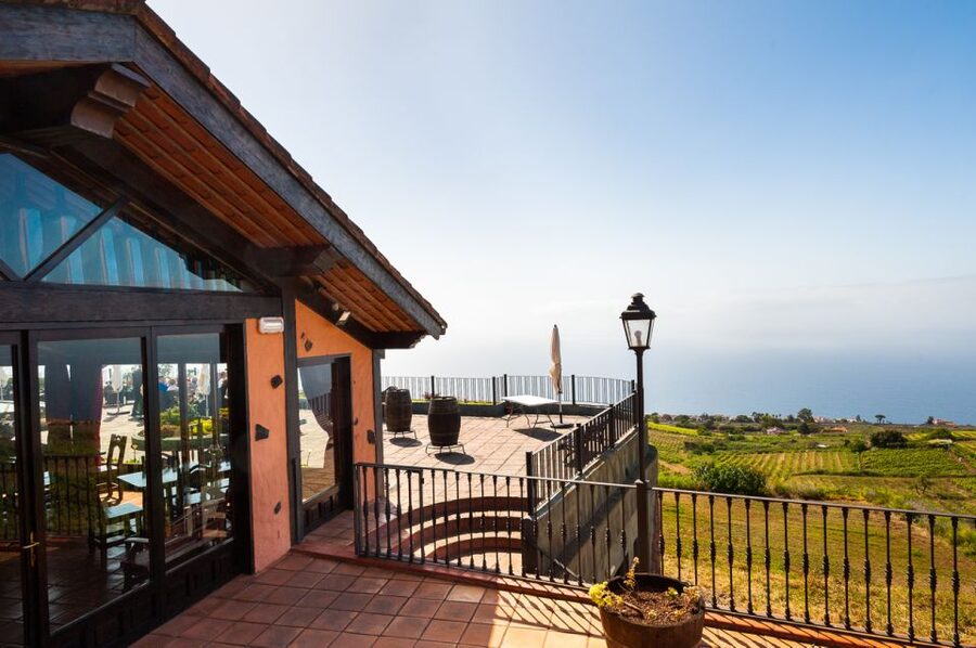 Tenerife: Full-Day Gastronomy and Wine Tour - Price and value: what $97 buys you in real-world terms