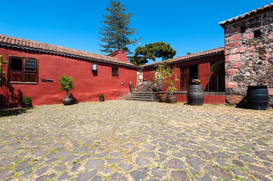 Tenerife: Full-Day Gastronomy and Wine Tour - Group size, guides, and comfort on an 8-hour schedule