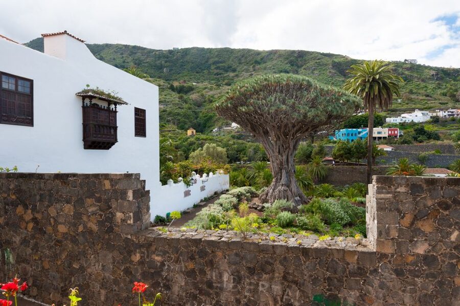Tenerife: Full-Day Guided Island Tour - Los Gigantes: Atlantic Views and the Big Cliff Moment