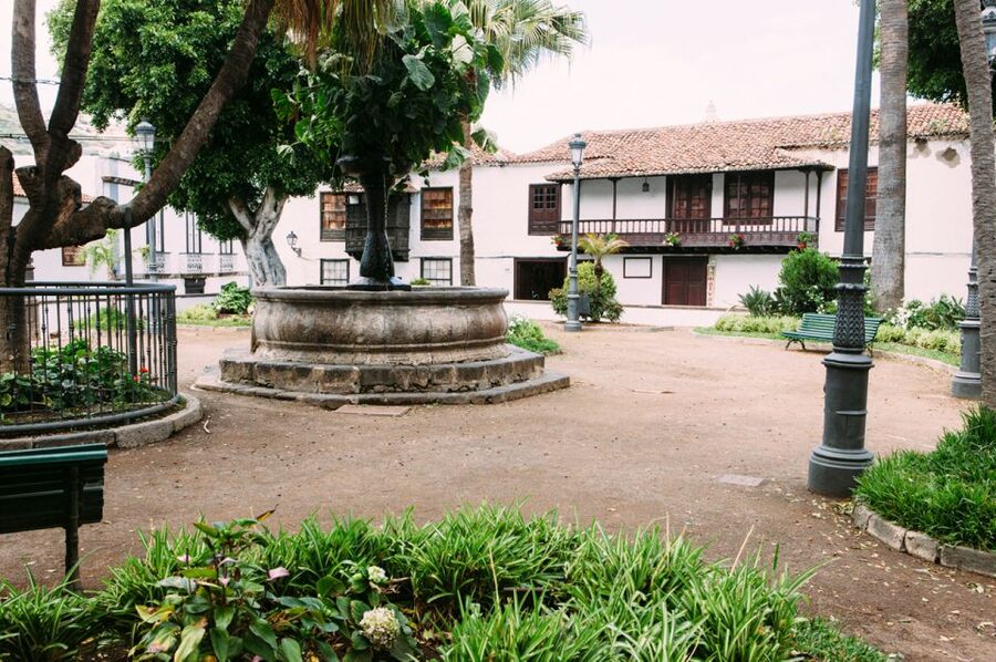 Tenerife: Full-Day Guided Island Tour - Icod de los Vinos and the Dragon Tree Experience