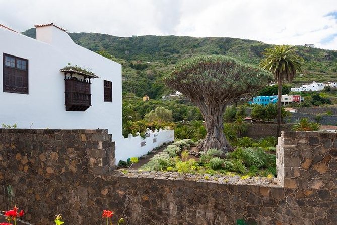 Tenerife Full Island Tour - Icod de los Vinos and the Parque del Drago Dragon Tree