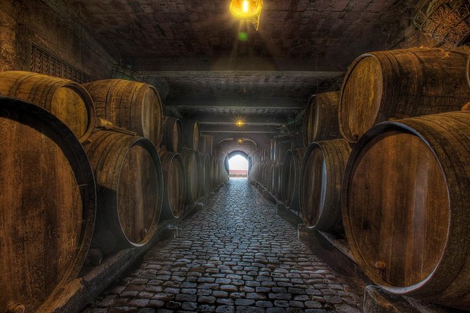Tenerife Gastronomy Tour with Two Winery Visits and 4-Course Lunch - Two winery visits: what to expect from the tasting approach