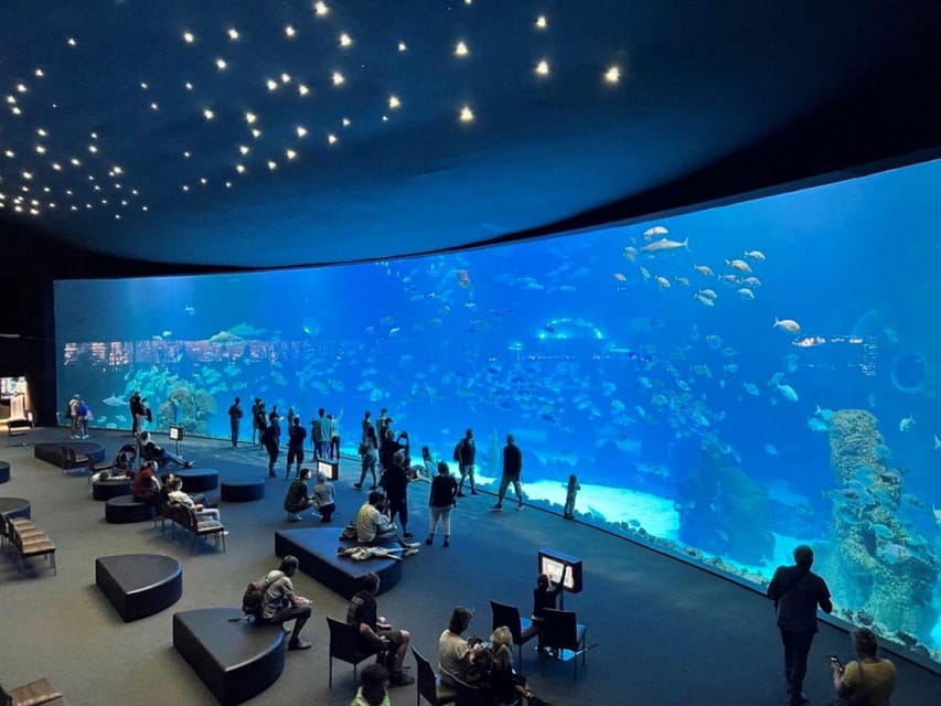 Tenerife: Gran Canaria Full-Day Guided Tour with Aquarium - FAQ