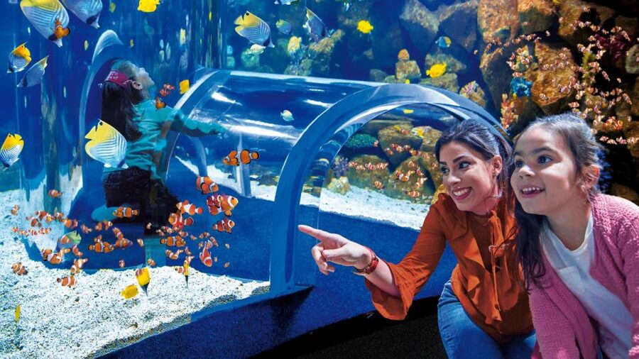 Tenerife: Gran Canaria Full-Day Guided Tour with Aquarium - A 12-hour hop from Tenerife, built around three headline stops