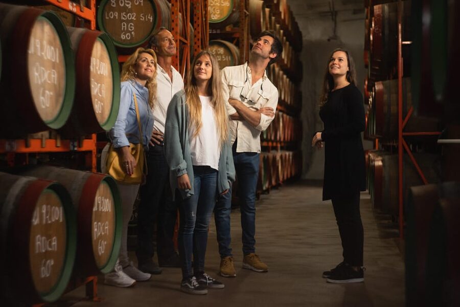 Tenerife: Gran Canaria Full-Day Guided Tour with Aquarium - Destilería Arehucas rum cellar visit, barrels, and tasting