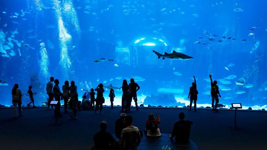 Tenerife: Gran Canaria Full-Day Guided Tour with Aquarium - Vegueta old town walk: Casa de Colón to Triana street
