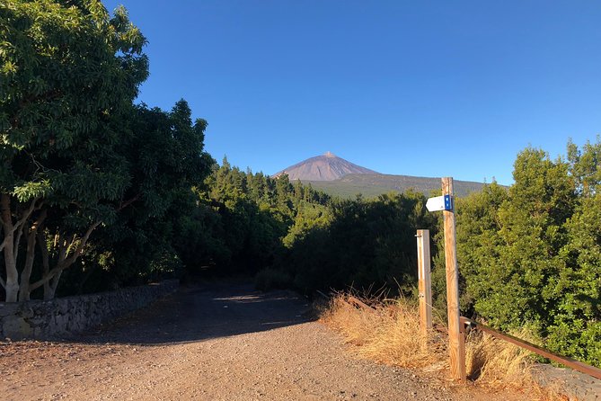 Tenerife Grand Tour: including Teide National Park and Masca - Price and what you actually get for $66.08