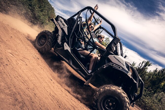 Tenerife: Guided Buggy Discovery Tour around Mount Teide - Key points to know before you go