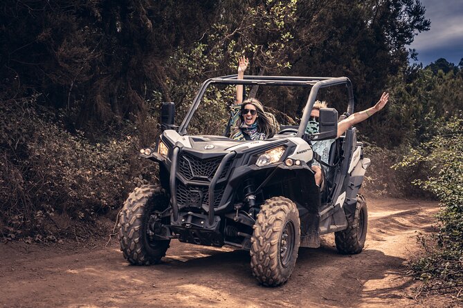 Tenerife: Guided Buggy Discovery Tour around Mount Teide - Camel center break, then the off-road switch flips to 40 minutes
