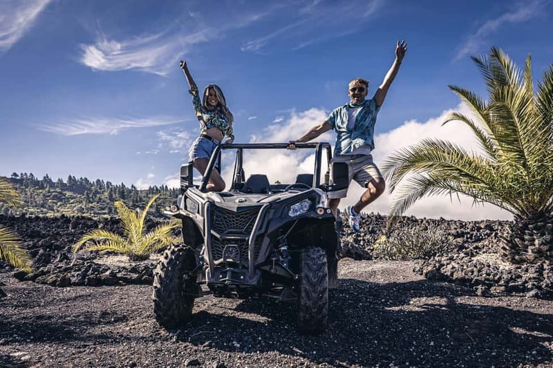 Tenerife: Guided Buggy Discovery Tour around Mount Teide - Cheese and local wine tasting that actually adds a local flavor