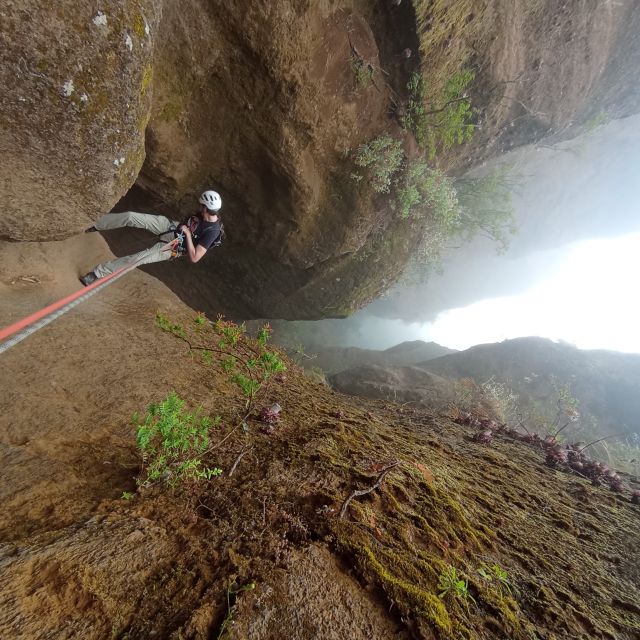 Tenerife: Guided Canyoning Experience in Los Arcos - Key Highlights You Will Actually Care About