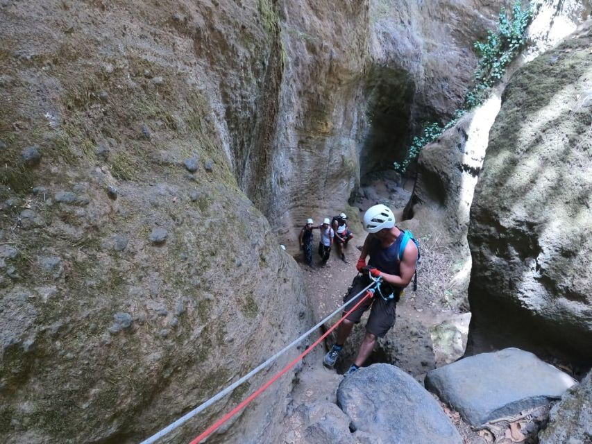 Tenerife: Guided Canyoning Experience in Los Arcos - Price and Value: Why $82 Can Feel Fair