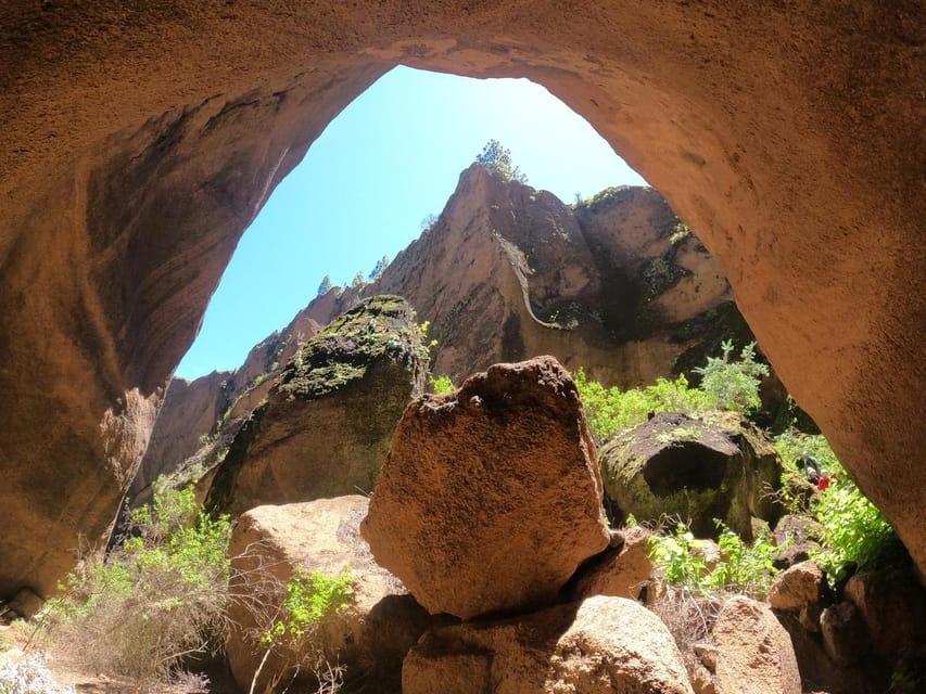Tenerife: Guided Canyoning Experience in Los Arcos - Rappelling Volcanic Ash Walls: Your Series of Descents Up to 20 Metres