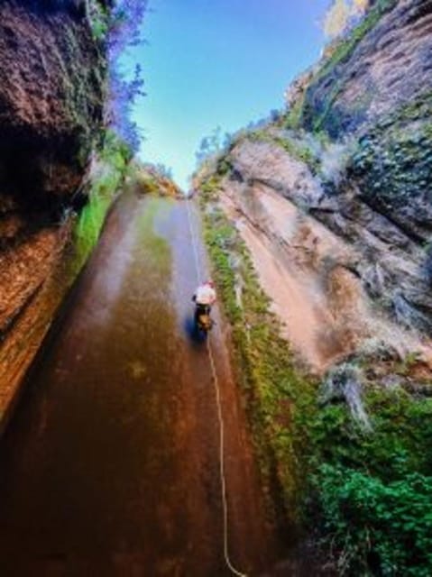 Tenerife: Guided Canyoning Experience in Los Arcos - Endemic Flora and Fire Recovery: What You Learn Beyond the Ropes