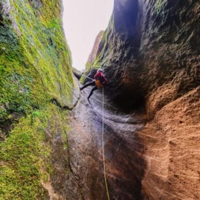Tenerife: Guided Canyoning Experience in Los Arcos - Pace, Group Size, and What Is Physically Hard