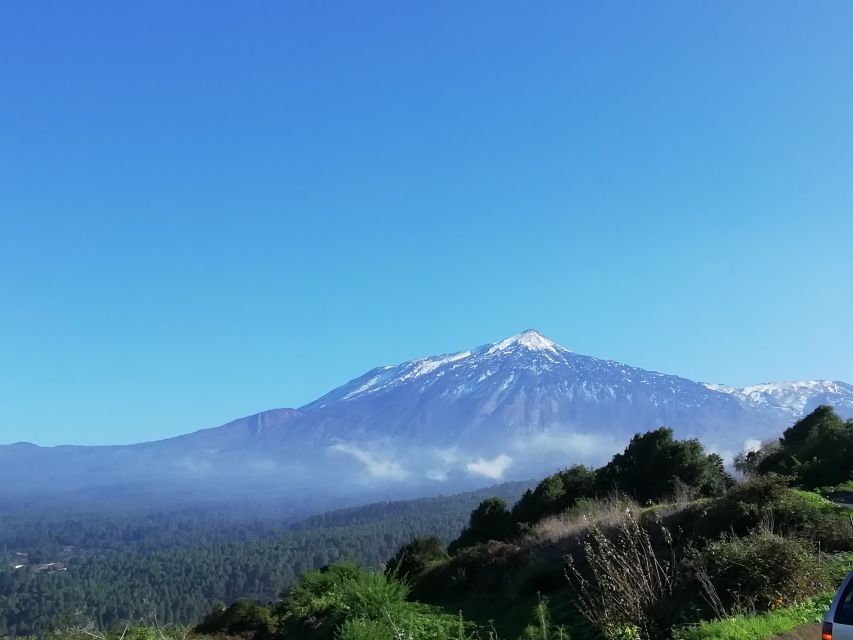 Tenerife: Guided Horseback Riding Tour to the Lomo Forest - Key things to know before you go
