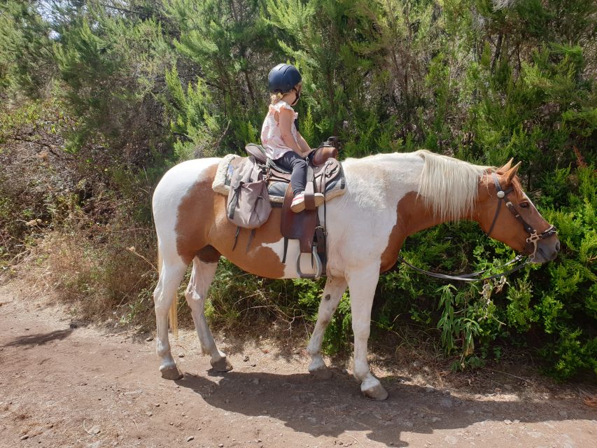 Tenerife: Guided Horseback Riding Tour to the Lomo Forest - What to bring and wear, plus the items you must leave behind