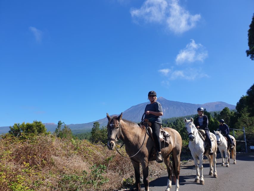 Tenerife: Guided Horseback Riding Tour to the Lomo Forest - Why the Lomo Forest ride feels more personal than a quick tour