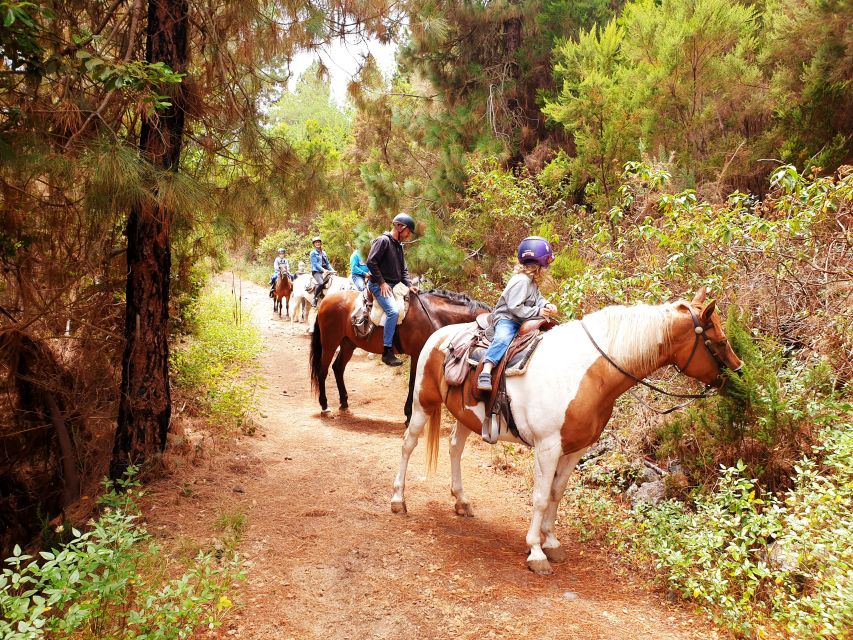 Tenerife: Guided Horseback Riding Tour to the Lomo Forest - The trail ride itself: a calm walk through Lomo Cuchillo