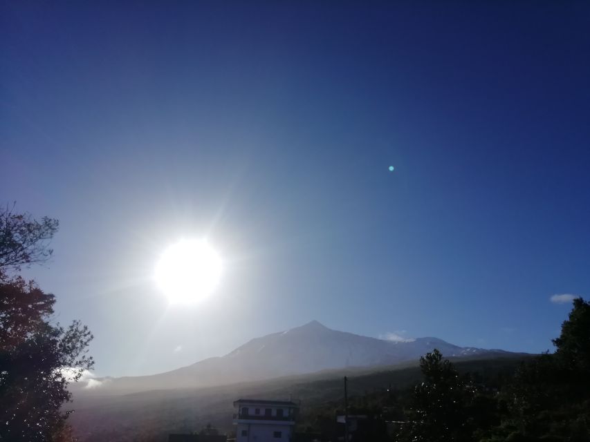 Tenerife: Guided Horseback Riding Tour to the Lomo Forest - Communication rules: you need English, German, or Spanish