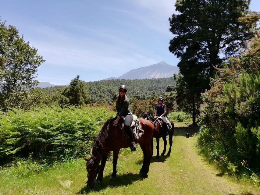 Tenerife: Guided Horseback Riding Tour to the Lomo Forest - What’s included in the $51 price, and where the cost adds value