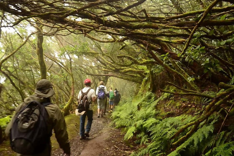 Tenerife: Guided tour guide in the Anaga Rural Park - Guides in the forest: what makes this experience feel personal