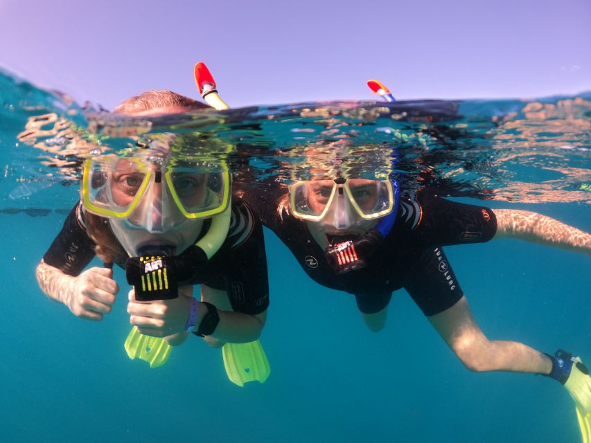Tenerife: Half-Day Snorkeling Tour - Why Abades Bay is the snorkeling star off Tenerife