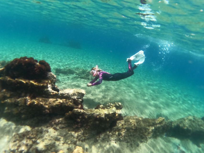 Tenerife: Half-Day Snorkeling Tour - The 4-hour flow: briefing, guided snorkel, break, and extra water time