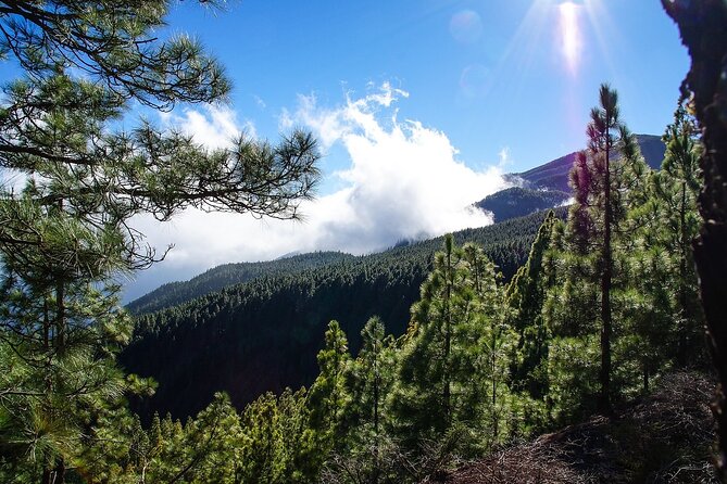 Tenerife Highlights VIP Custom Private Tour - photos included - Arico el Nuevo: Traditional Village Life Before You Head Back