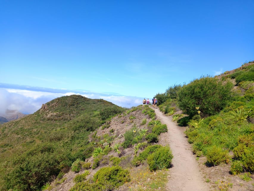 Tenerife: Hiking Above the Village of Masca - Meeting point and the Los Cristianos transfer that sets the tone