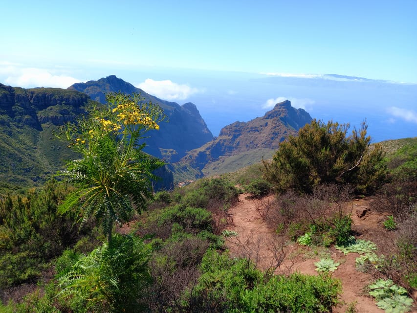 Tenerife: Hiking Above the Village of Masca - Price and value: what you get for $73