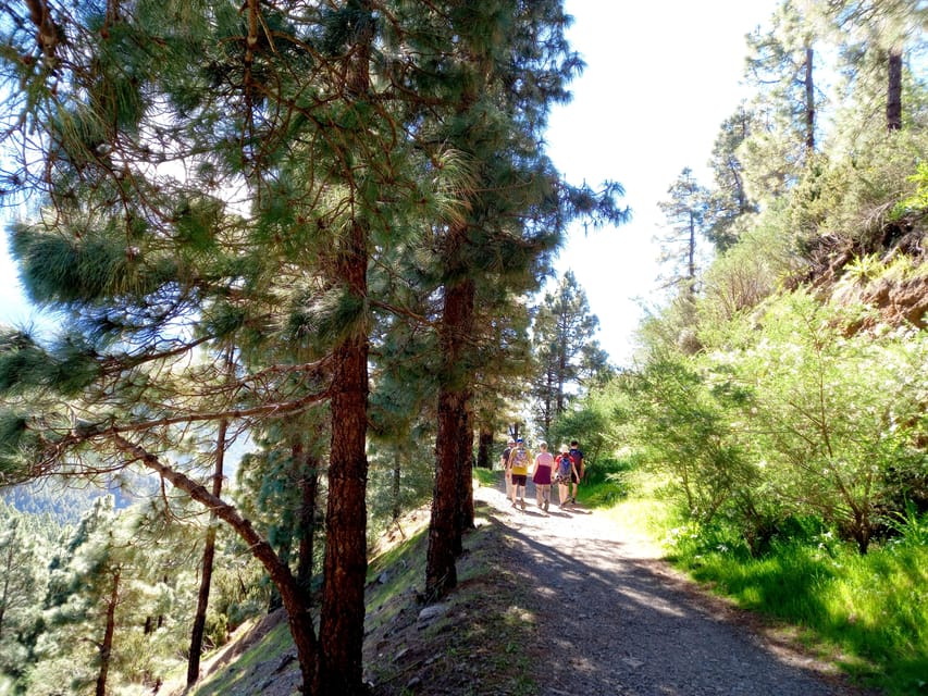 Tenerife: Hiking Above the Village of Masca - Masca from above: the actual hiking vibe (not the gorge hike)