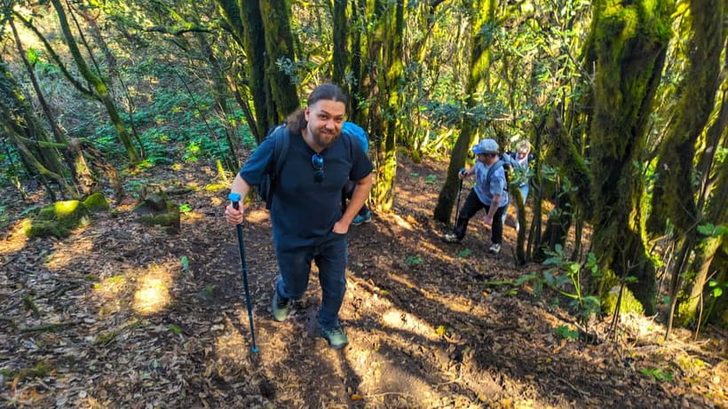 Tenerife: Hiking Tour Above Masca & Enchanted Forest - Meet Your Route: Pine Forest, 360 Viewpoint, and the Masca-to-Teide Switch