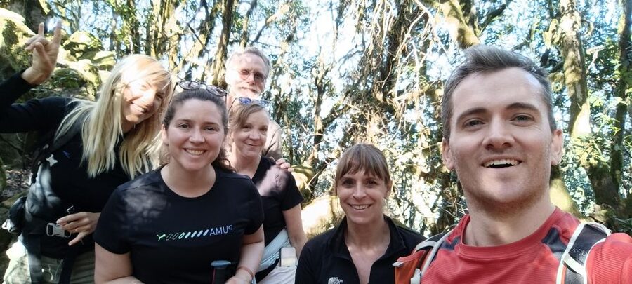 Tenerife: Hiking Tour Above Masca & Enchanted Forest - Who This Tour Suits Best