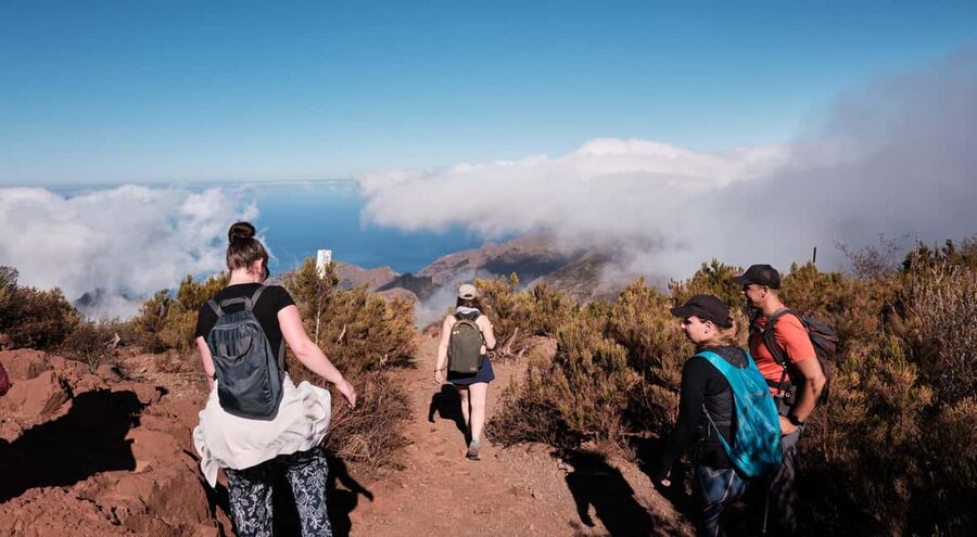 Tenerife: Hiking Tour Above Masca & Enchanted Forest - Stop by Stop: What Happens in Each Part of the Hike